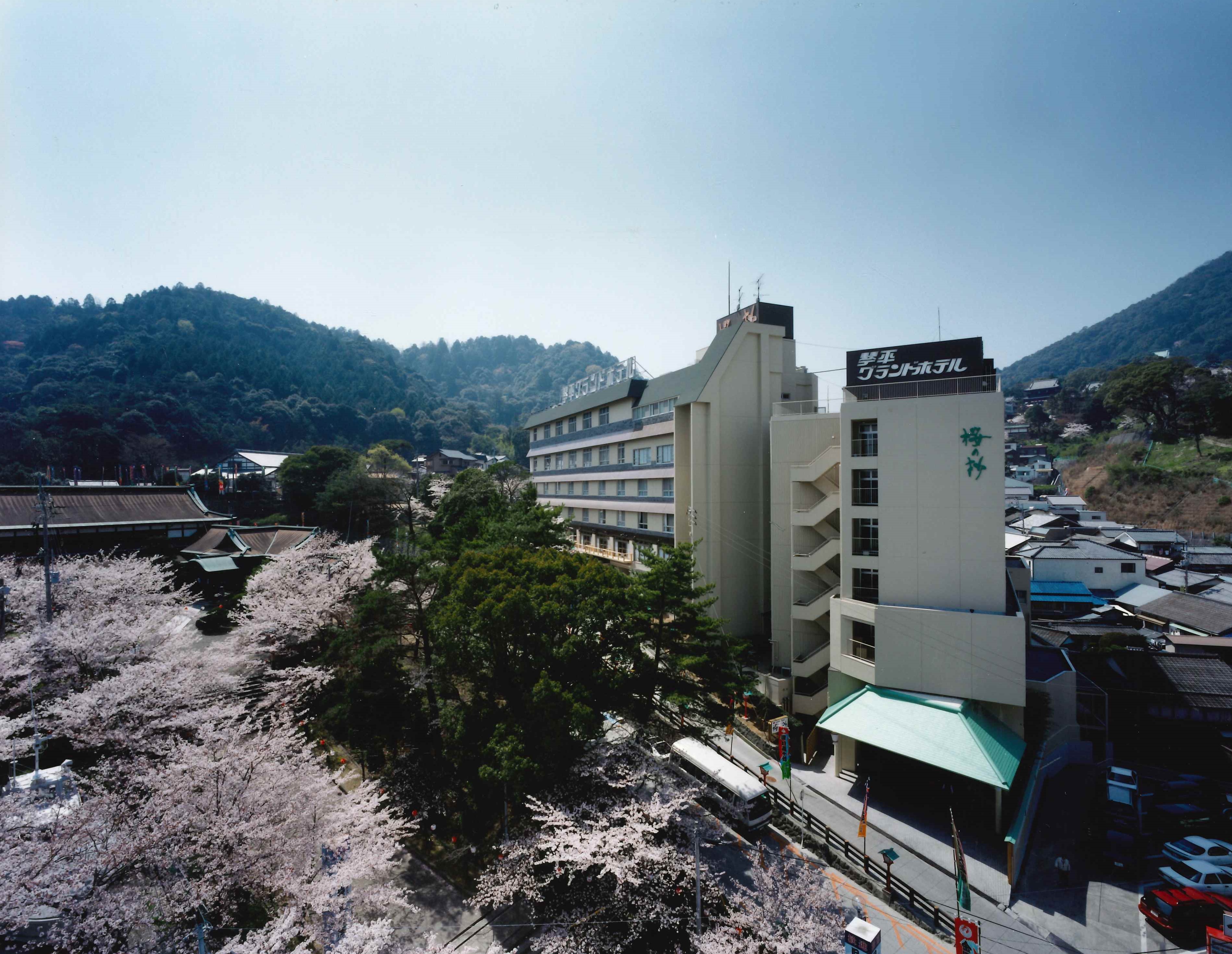 琴平GH-桜の抄①.jpg